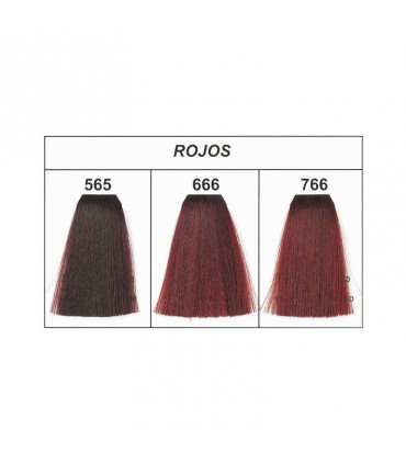 OFERTA 48 UNIDADES TINTE 100 ML - LOOK COLOOR